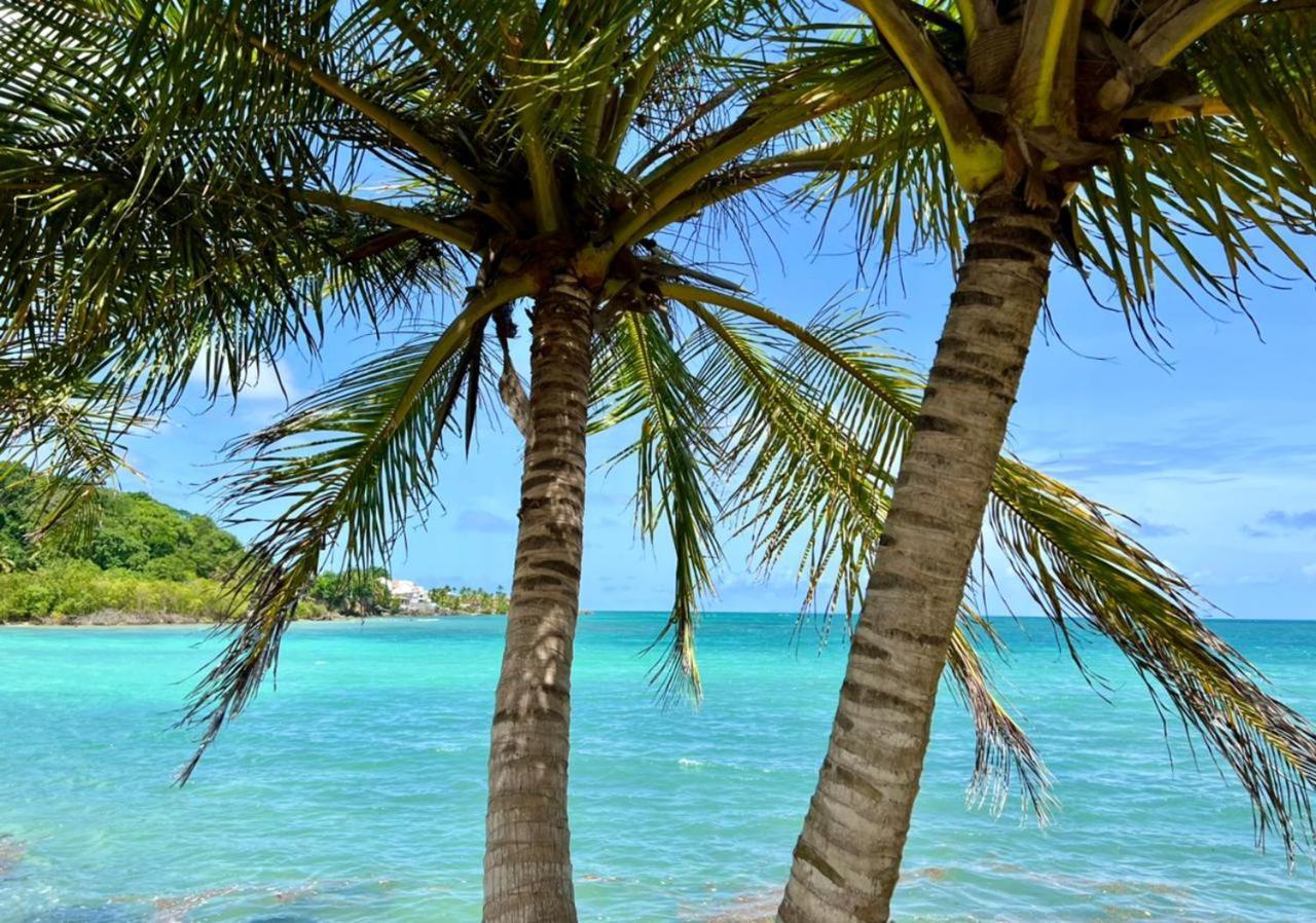 Jolie Petite Sur Presqu’île Villa Le Gosier (Grande-Terre)