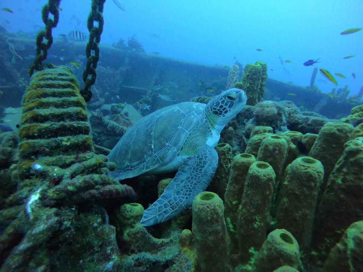Jolie Petite Sur Presqu’île Le Gosier (Grande-Terre)