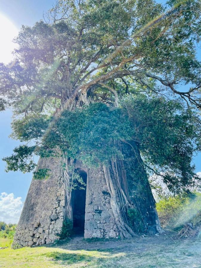 Jolie Petite Sur Presqu’île Villa Le Gosier (Grande-Terre)
